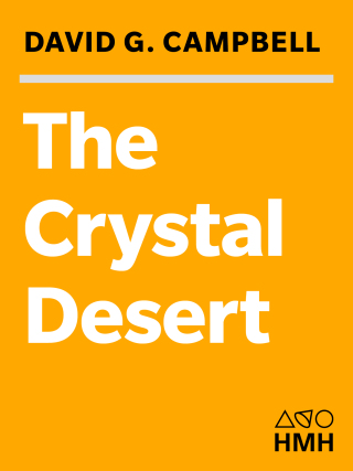 The Crystal Desert