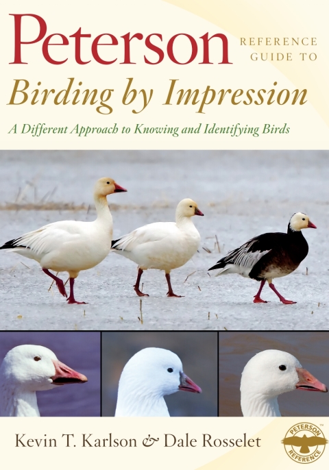 Cover image for book Peterson Reference Guide To Birding By Impression