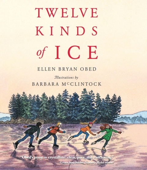 Cover image for book Twelve Kinds of Ice