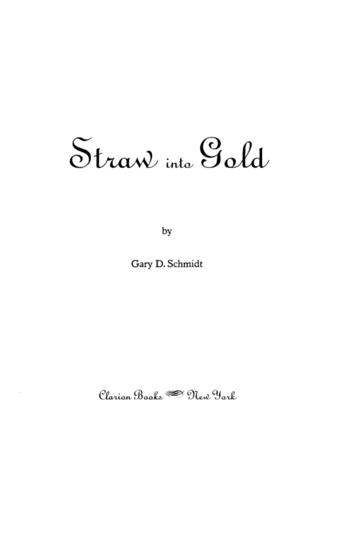 Cover image for book Straw into Gold