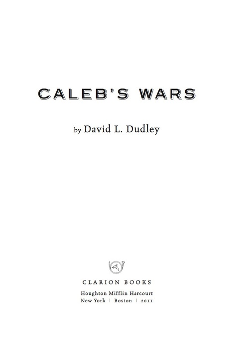 Cover image for book Caleb's Wars