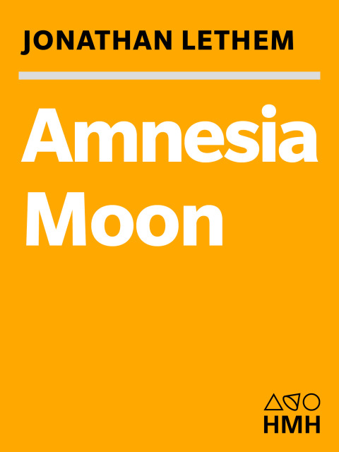 Cover image for book Amnesia Moon