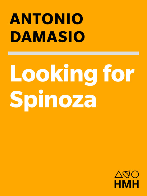 Looking for Spinoza 
