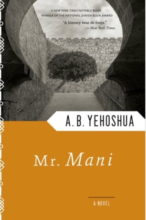 Cover image for book Mr. Mani
