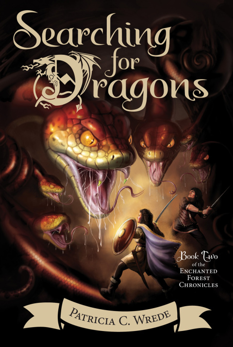 Cover image for book Searching for Dragons