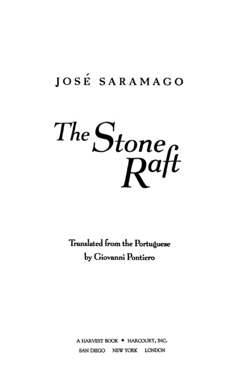 Cover image for book The Stone Raft