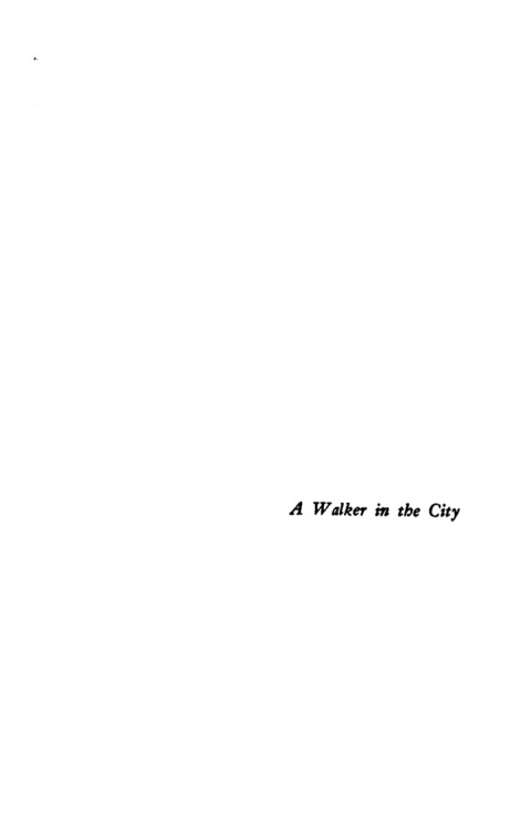 Cover image for book A Walker in the City