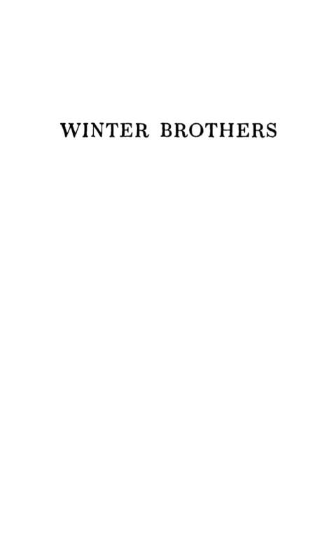 Cover image for book Winter Brothers