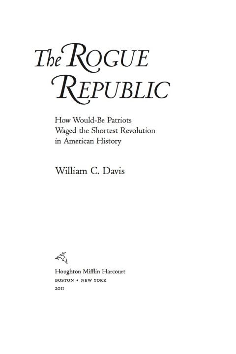 Cover image for book The Rogue Republic