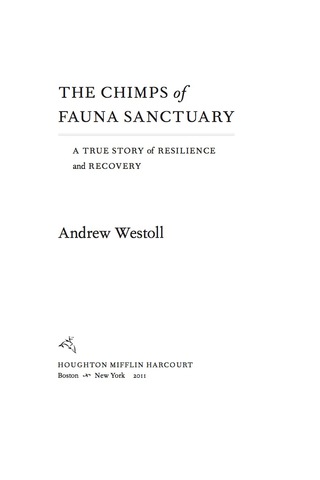 The Chimps of Fauna Sanctuary