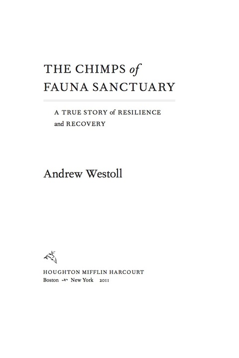 Cover image for book The Chimps of Fauna Sanctuary