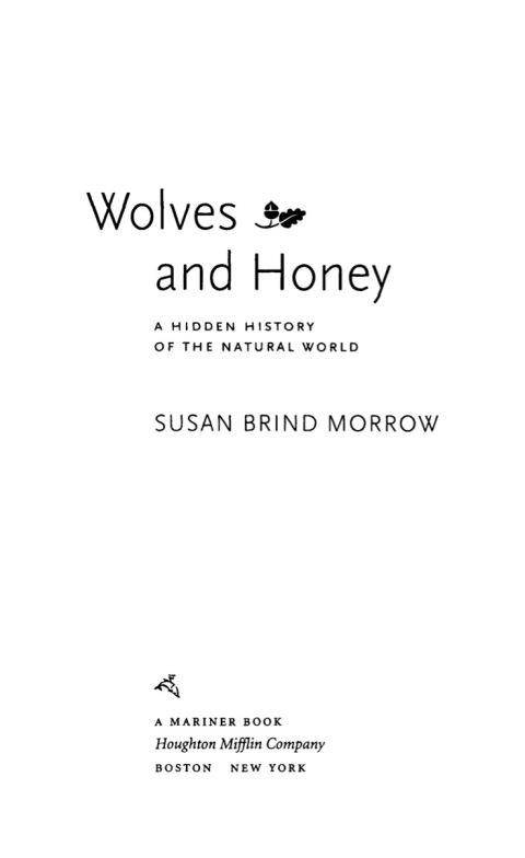Cover image for book Wolves & Honey
