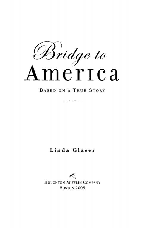Cover image for book Bridge to America