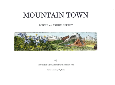 Cover image for book Mountain Town
