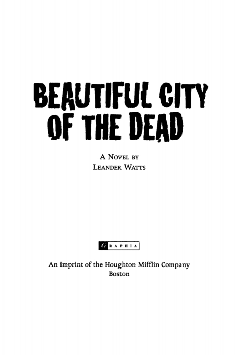 Cover image for book Beautiful City of the Dead