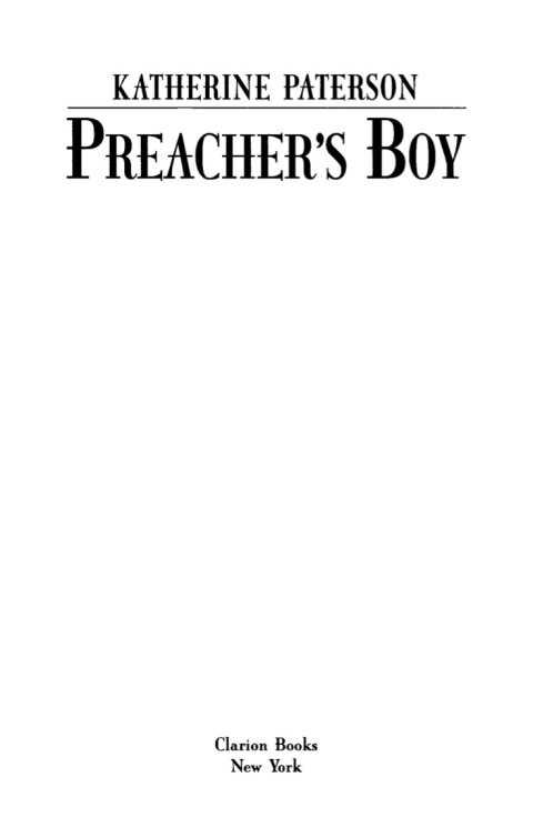 Cover image for book Preacher's Boy