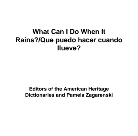 Cover image for book What Can I Do When It Rains?/¿Qué puedo hacer cuando llueve?