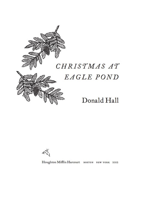 Cover image for book Christmas At Eagle Pond