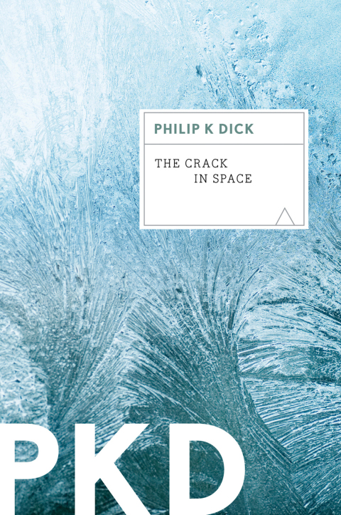 Cover image for book The Crack in Space