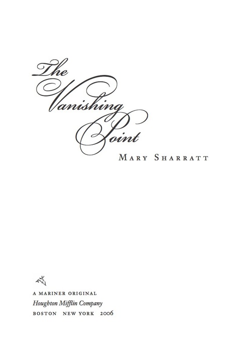 Cover image for book The Vanishing Point