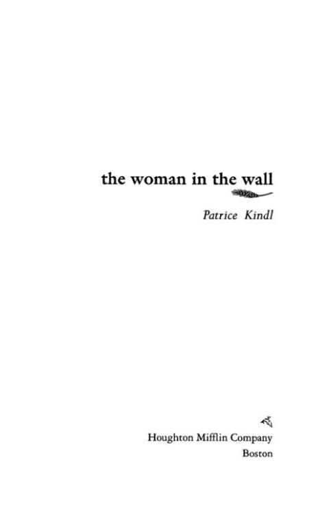 Cover image for book The Woman in the Wall