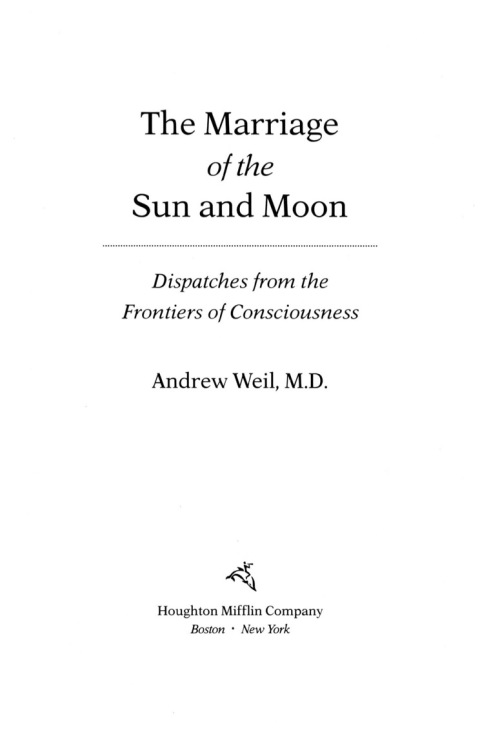 Cover image for book The Marriage of the Sun and Moon