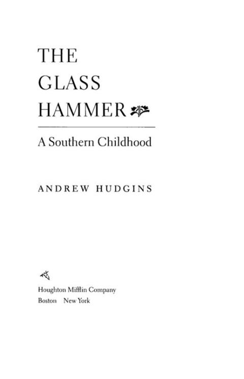 Cover image for book Glass Hammer