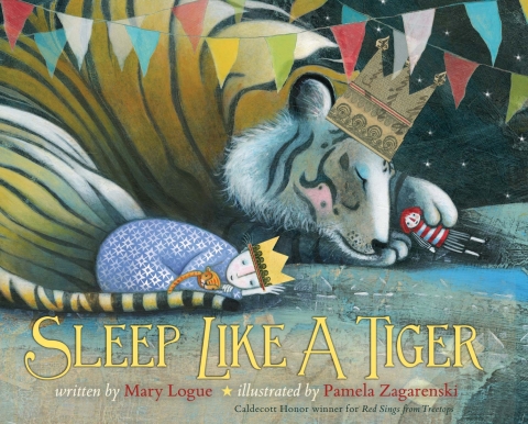 Cover image for book Sleep Like a Tiger