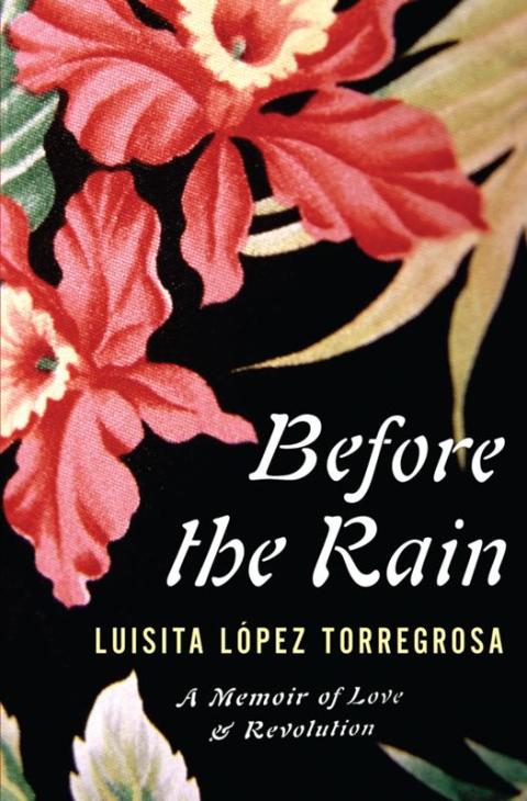 Cover image for book Before the Rain
