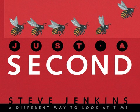 Cover image for book Just a Second