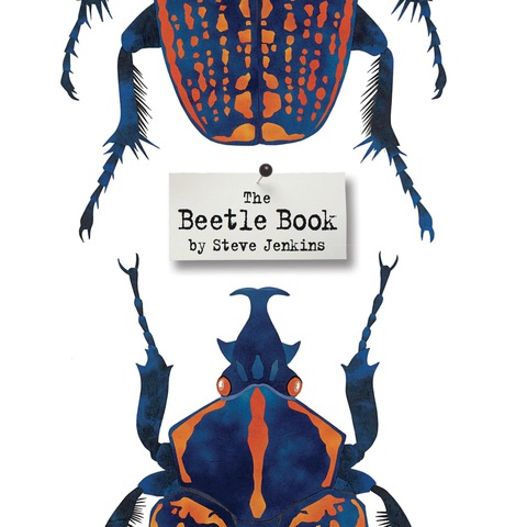 Cover image for book The Beetle Book