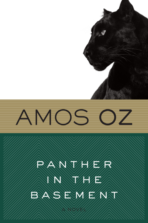Cover image for book Panther In The Basement