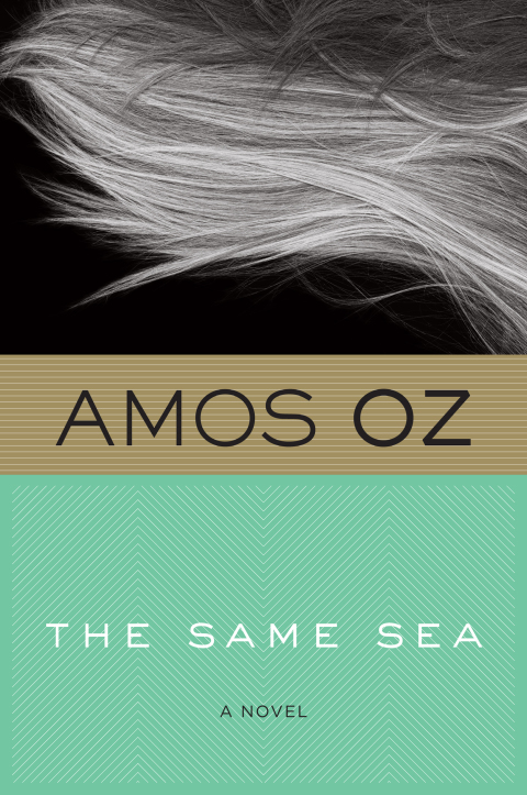 Cover image for book The Same Sea