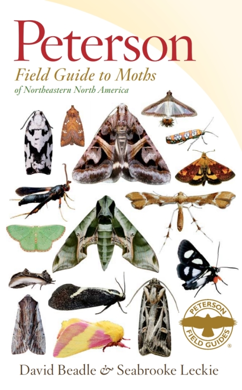 Cover image for book Peterson Field Guide To Moths Of Northeastern North America