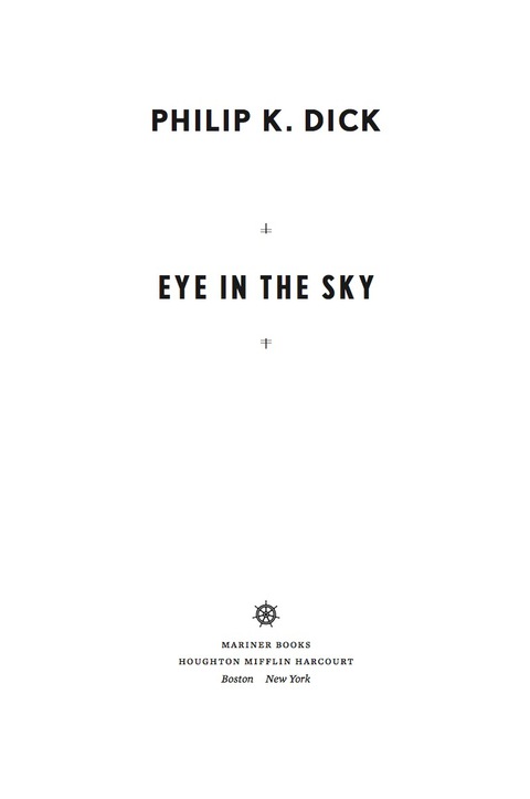 Cover image for book Eye In The Sky