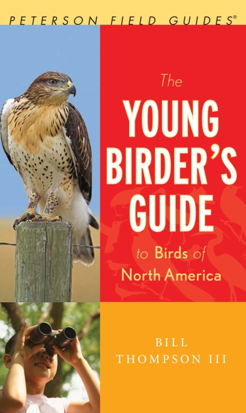Cover image for book The Young Birder's Guide To Birds Of North America