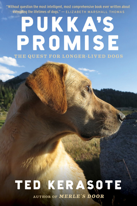Cover image for book Pukka's Promise