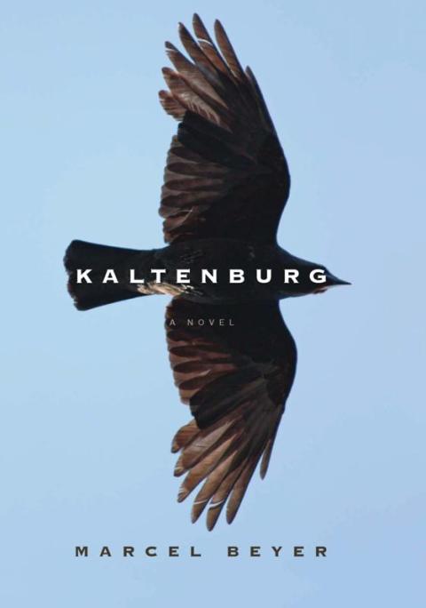 Cover image for book Kaltenburg