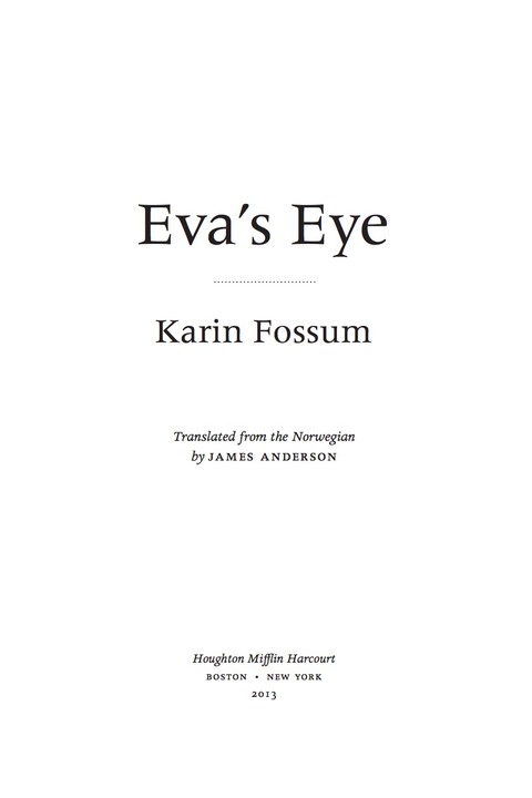 Cover image for book Eva's Eye