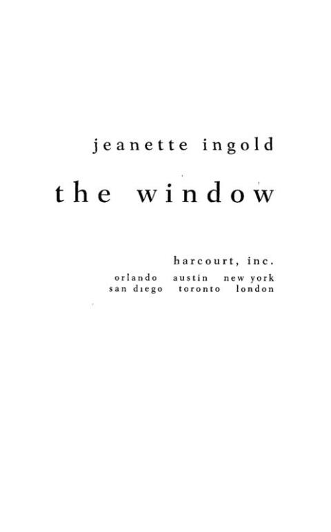 Cover image for book The Window