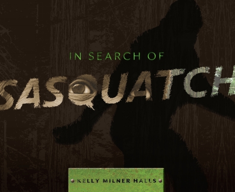 Cover image for book In Search of Sasquatch