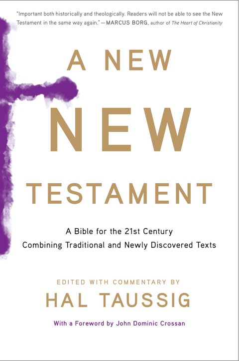 Cover image for book A New New Testament
