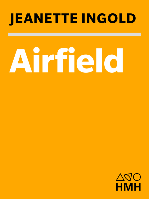Cover image for book Airfield