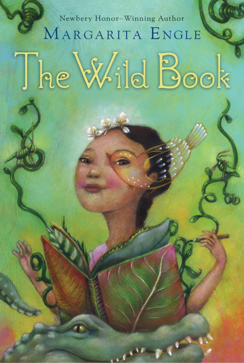 Cover image for book The Wild Book