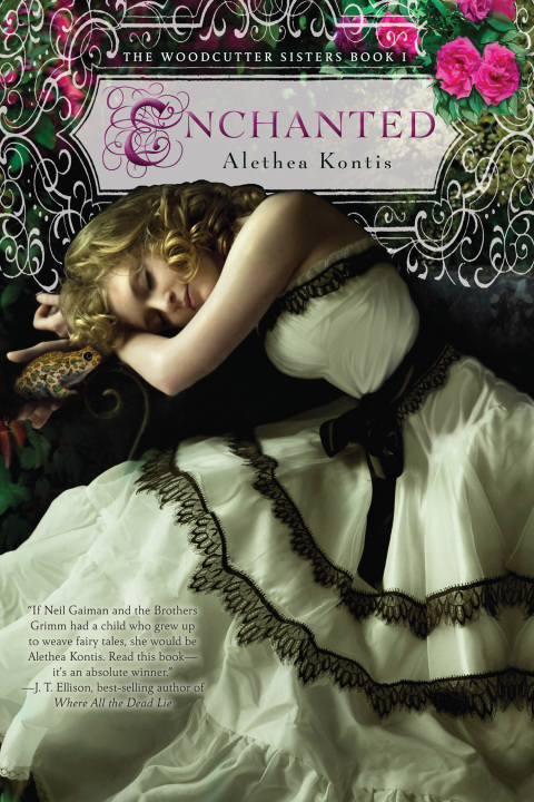 Cover image for book Enchanted