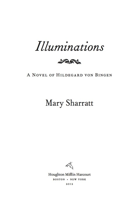 Cover image for book Illuminations