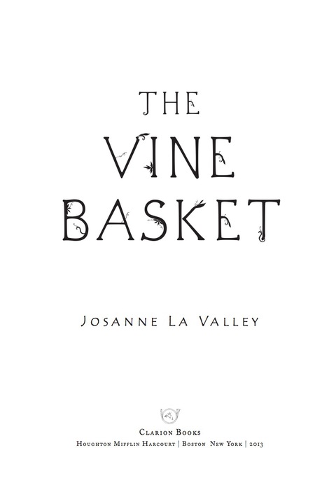 Cover image for book The Vine Basket