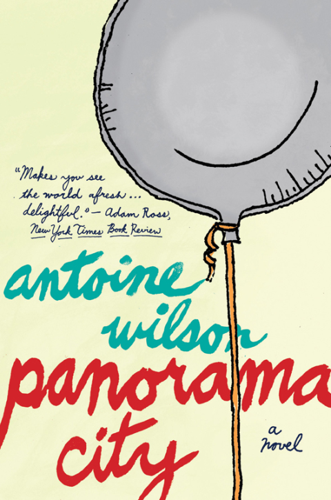 Cover image for book Panorama City