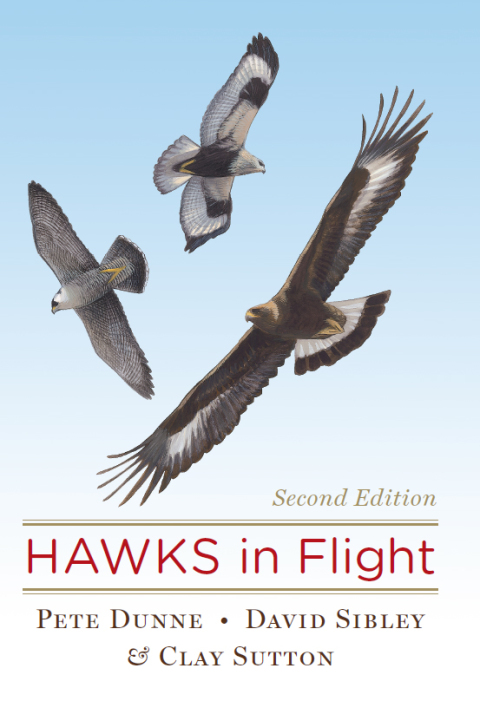 Cover image for book Hawks In Flight