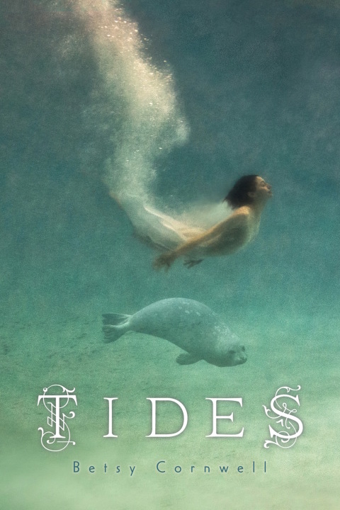 Cover image for book Tides
